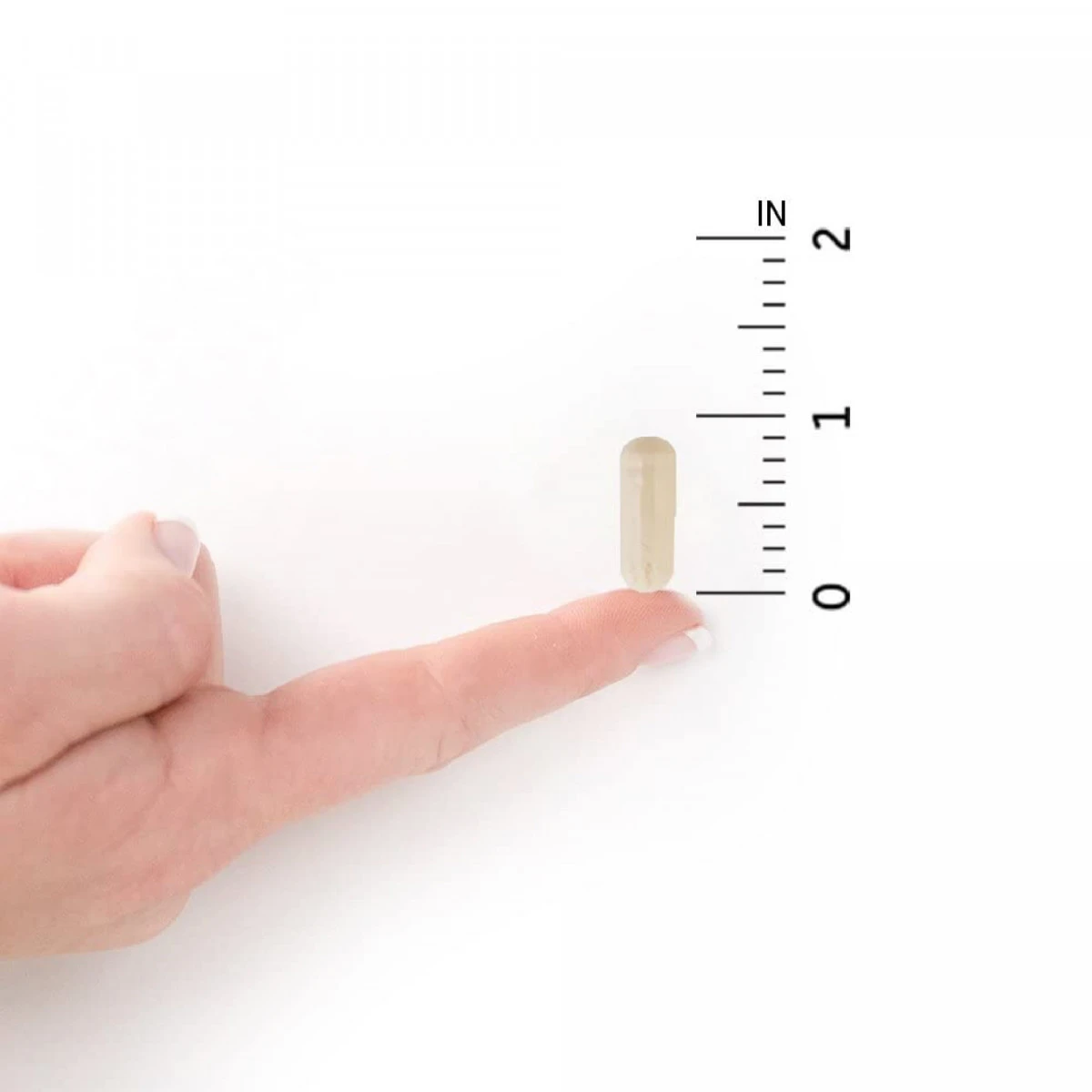 Garden Of Life Dr. Formulated Probiotics Digestive Stress Daily Care, 30ct - Image 2