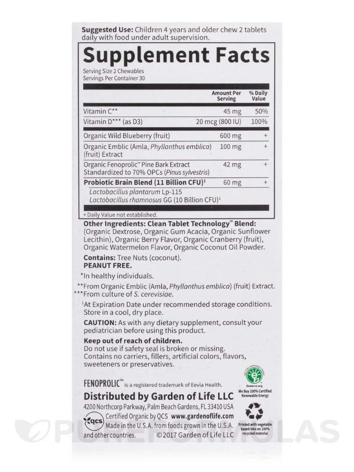 Dr. Formulated Brain Health Attention & Focus For Kids, Watermelon Berry Flavor - 60 Chewables - Image 5