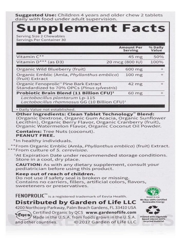 Dr. Formulated Brain Health Attention & Focus For Kids, Watermelon Berry Flavor - 60 Chewables - Image 8