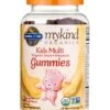 Mykind Organics Kids Multi Gummies, Fruit Flavor - 120 Vegan Gummies